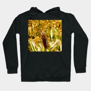 cli wheat Hoodie